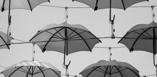 Cambiamento climatico ed eventi estremi, il ruolo del Servizio meteorologico dell’Aeronautica Militare e delle agenzie regionali per la protezione ambientale