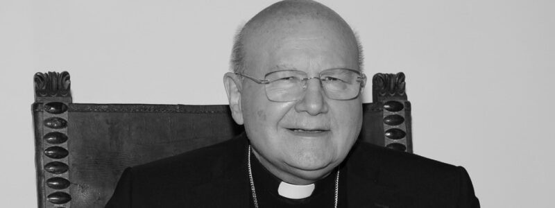 Monsignor Domenico Sorrentino