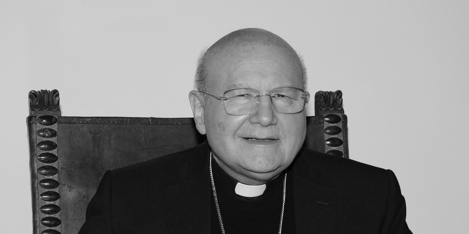 Monsignor Domenico Sorrentino